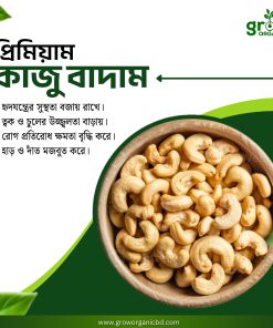 কাঁচা কাজু বাদাম/Raw Cashew Nut